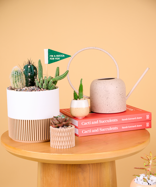 All Products