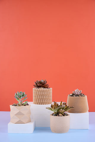 Itty Bitty Mini's