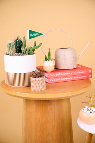 Cacti & Succulents Book